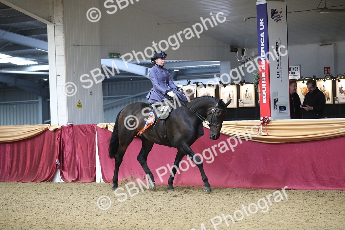 SBM_11639 - Class 105 Ridden Costume- Side Saddle