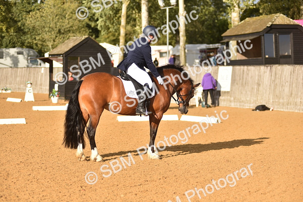 SBM_29667 - D16 -Small Tour Championship Novice 2