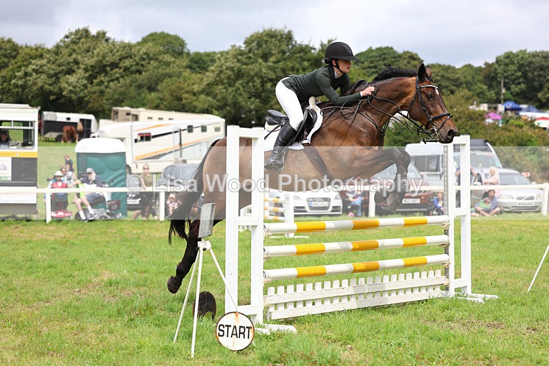 3E7A7304 - Class 5: Senior British Novice/90cm open