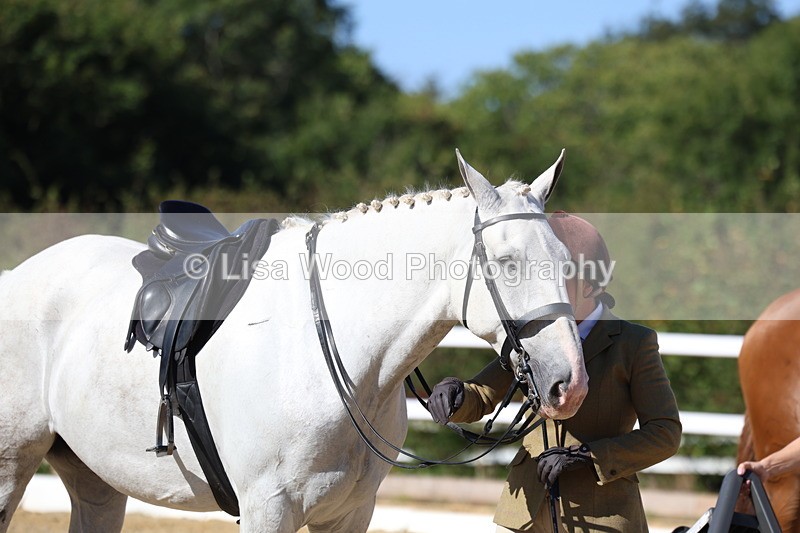 3E7A5601 - Class 9: Open Ridden Hunter