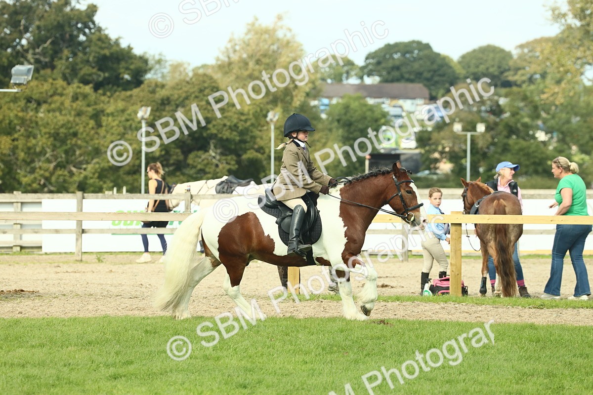 SBM_68842 - S58 - Mini Show Cob Ridden