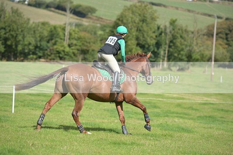 RAY_8716 - Class 2: Trekenning Open: Wall