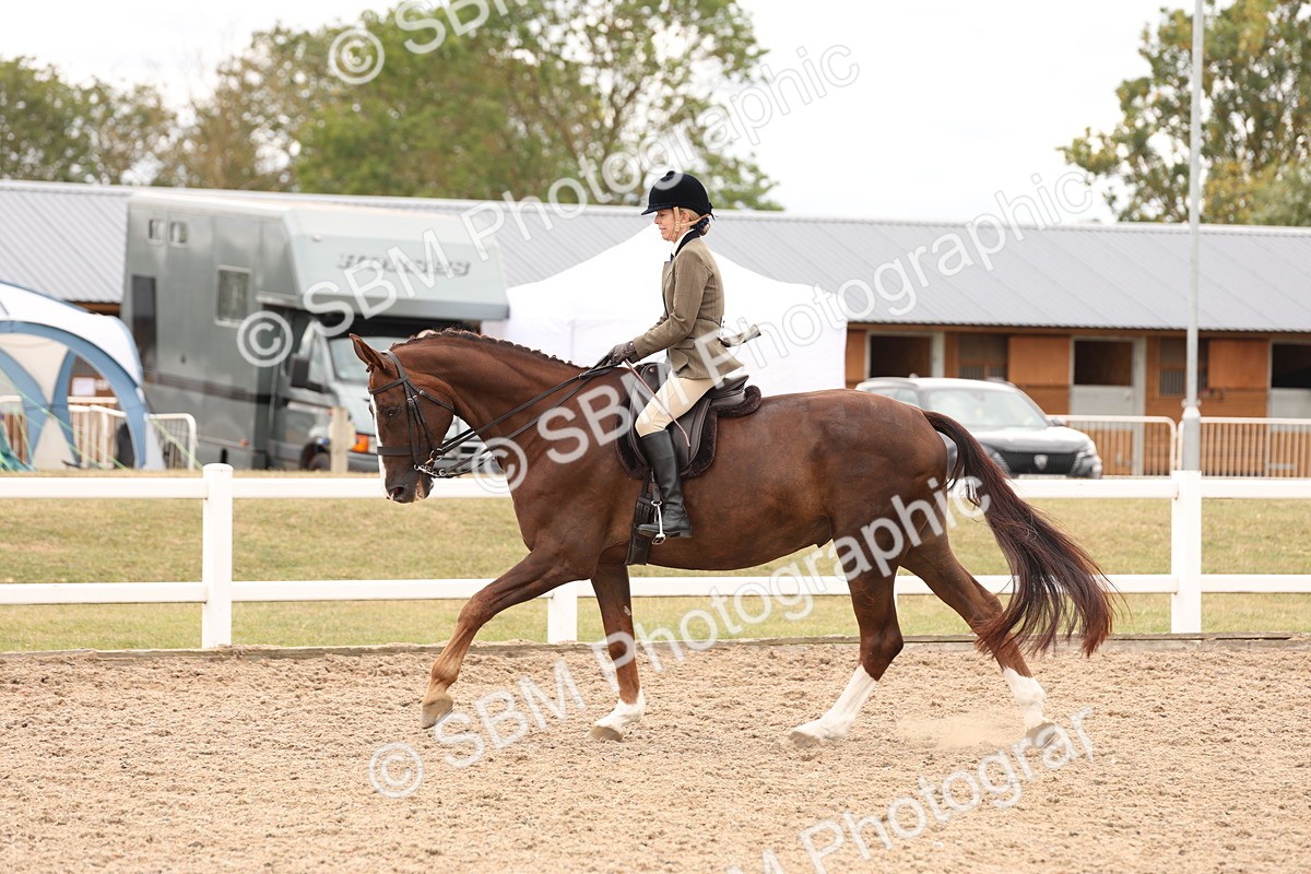 SBM_17239 - Class 213 - Ridden Hunter - Large