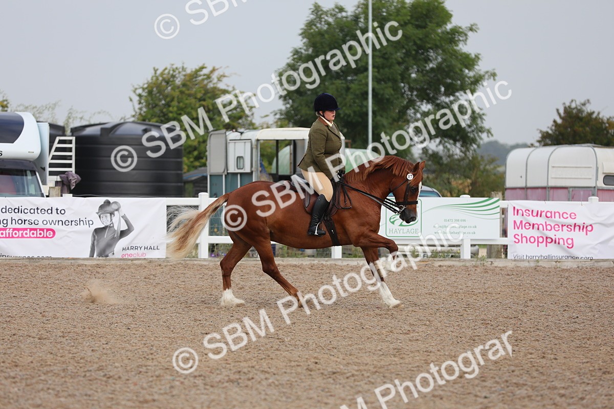 SBM_10020 - Class 302 Ridden M&M -Large Breeds