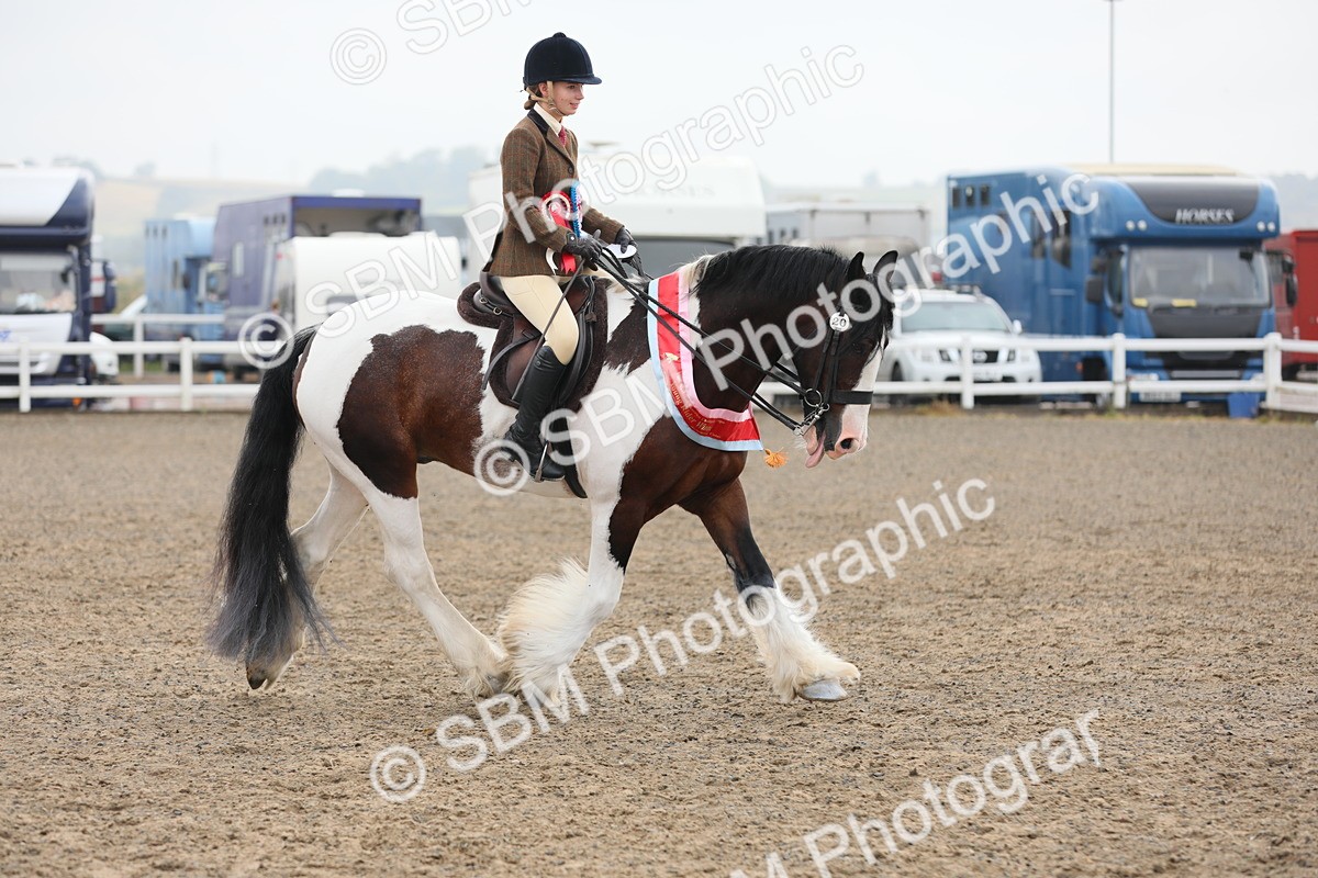 SBM_22409 - Class 807 - Young Rider 11 to 16 Yrs