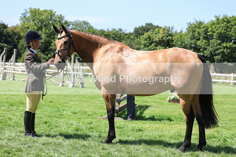 3E7A9072 - Class 6: Open Working Horse
