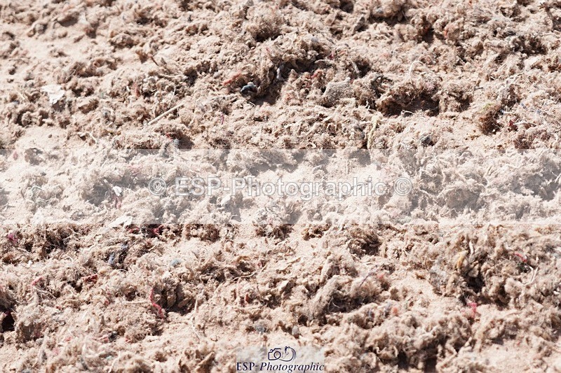 250505-114810-04215 - Cls 18+19 Club and Schools 60cm