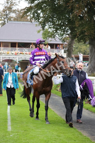 yr09102021r1-51 - Race 1 1.30pm Watch Racing Free Online At Coral Nursery Handicap