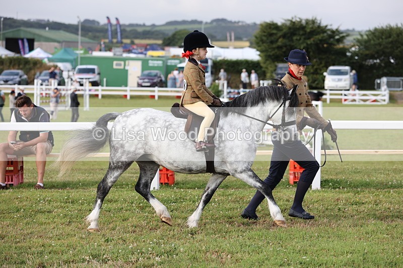 JPP_0308 - Class 14: Cornish Combination Leading Rein