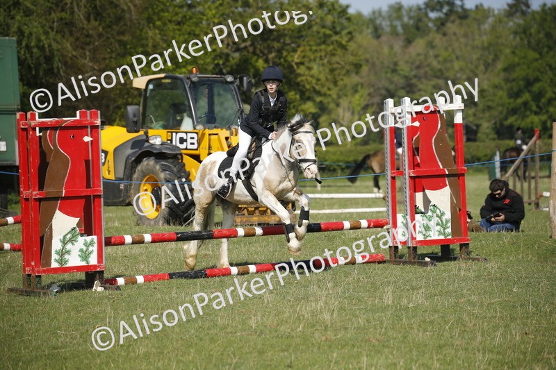 20250427-0380 - Class 12 - Rookie Jumping 40cm