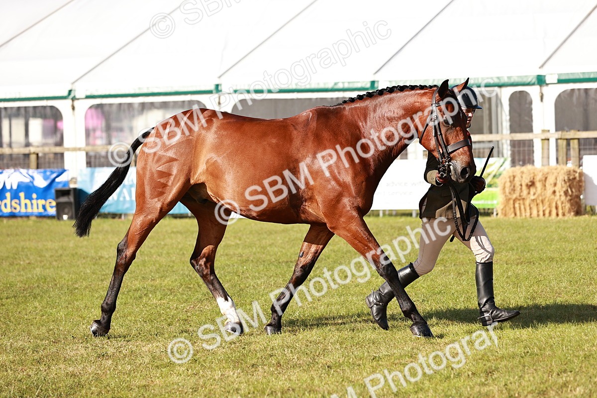 SBM_10811 - Class 81-84 - RIHS Ridden hunters Inc Ladies Hunter