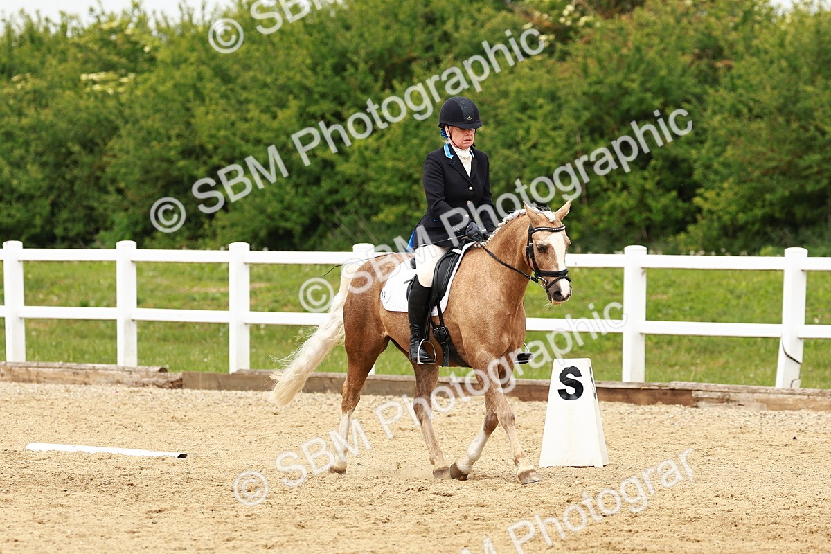SBM_001773 - Class 7 - Novice 5