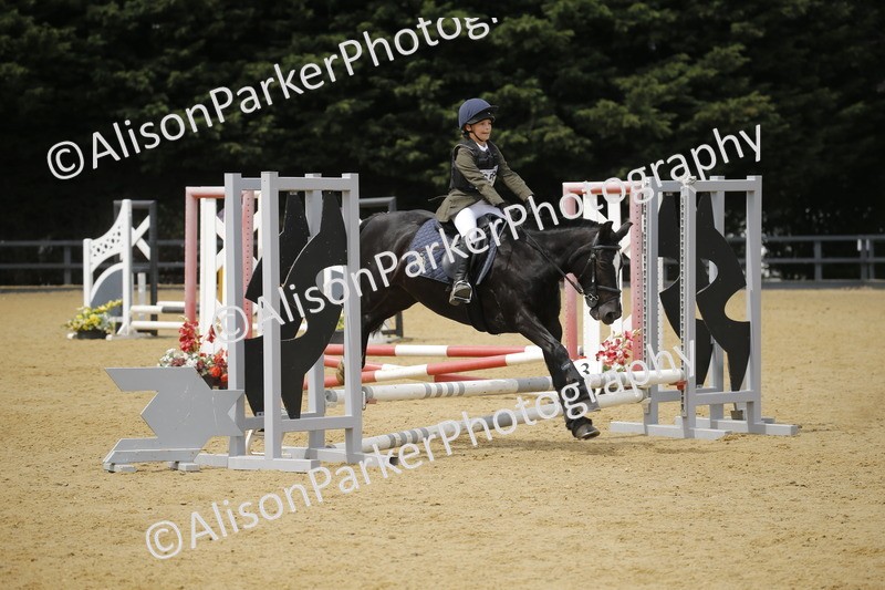 20250622-4697 - 50cm