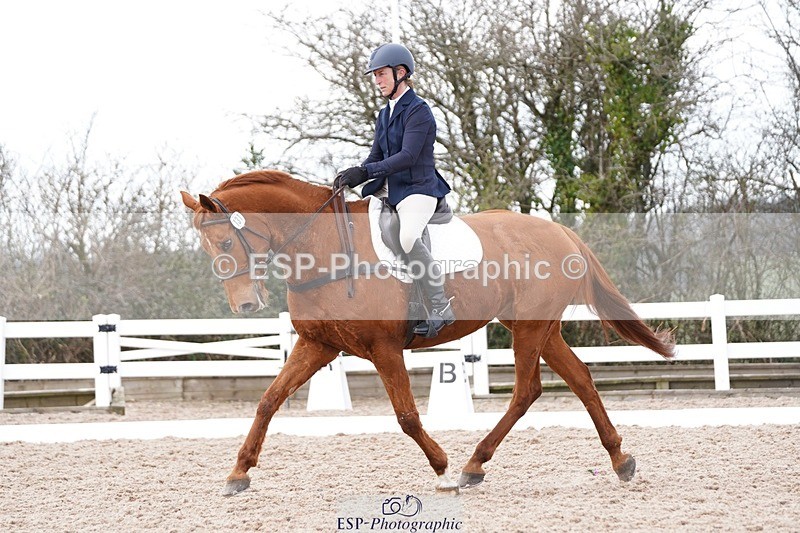 250322-131824-00480 - DR Elementary 2 Test