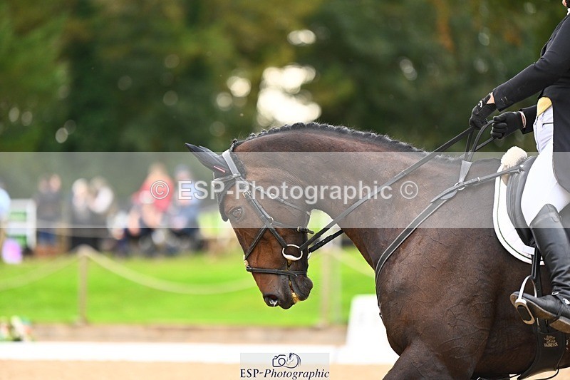 231020-154340-12085 - 318-KILTEALY.PROPHET-Alice.Dunsdon-DR