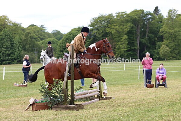 IMG_2781 - Working Hunter