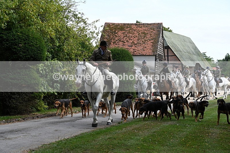 WJ6_3920 - Berks & Bucks - The Old farmhouse - Hound Exercise 20-08-25