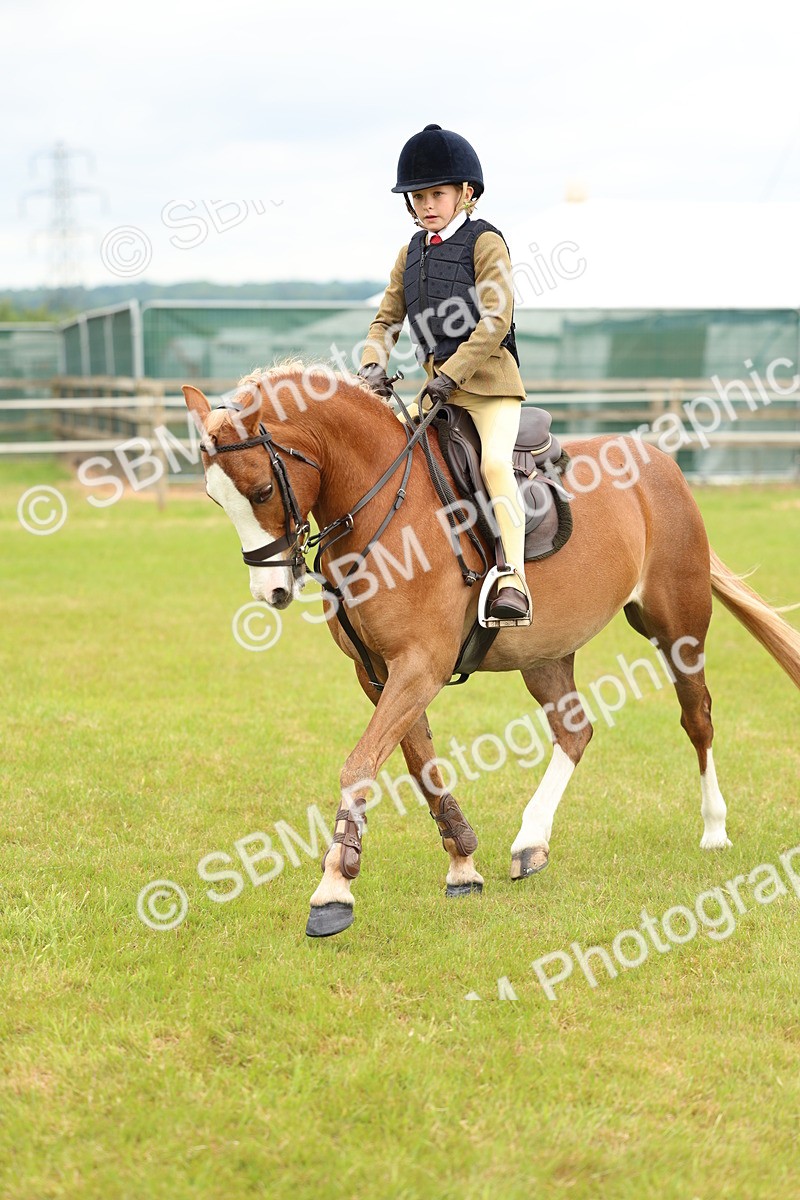 SBM_10247 - Class 44-45 - LIHS BSPS Open Nursery and Cradle Stakes