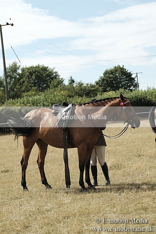 _PJP6116 - Ridden Championship BVRC Show 2018