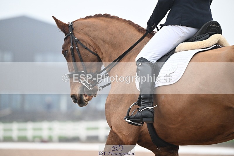 240217A-122758-02600 - 250-Jane.Coate-Evros.Z.Touch