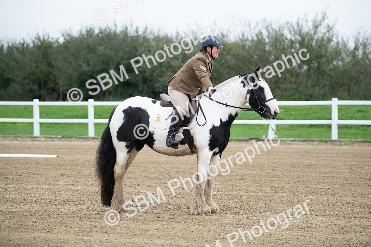 SBM_003445 - Introductory Test 3