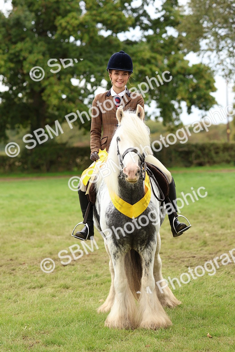 SBM_64664 - S58 - Coloured Pony Ridden