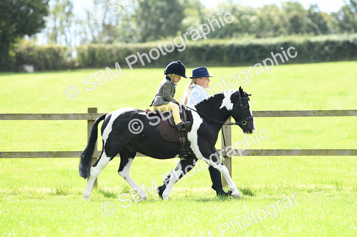SBM_41155 - S19 - Lead Rein Show & Show Hunter Pony