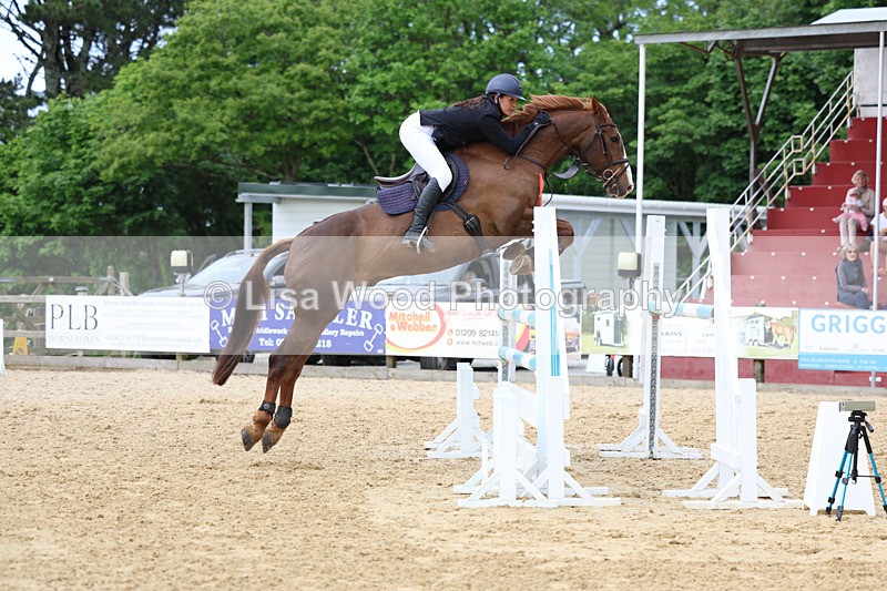 3E7A7492 - Class 8: Senior Foxhunter/1.20 open