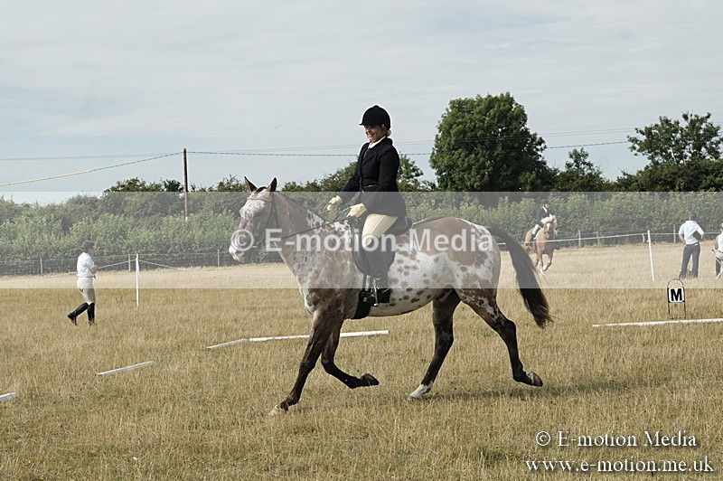 _PJP5699 - Dressage Classes BVRC Show 2018
