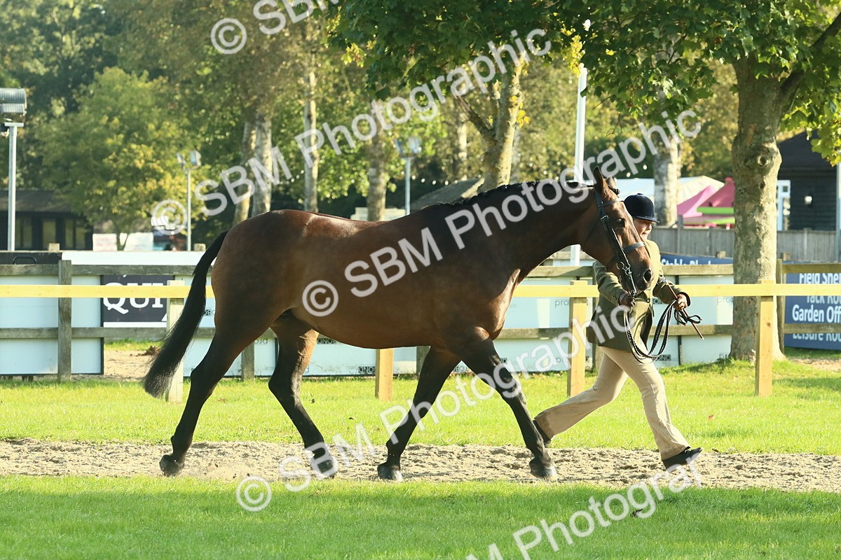 SBM_58566 - S37 - Starters In Hand Showing