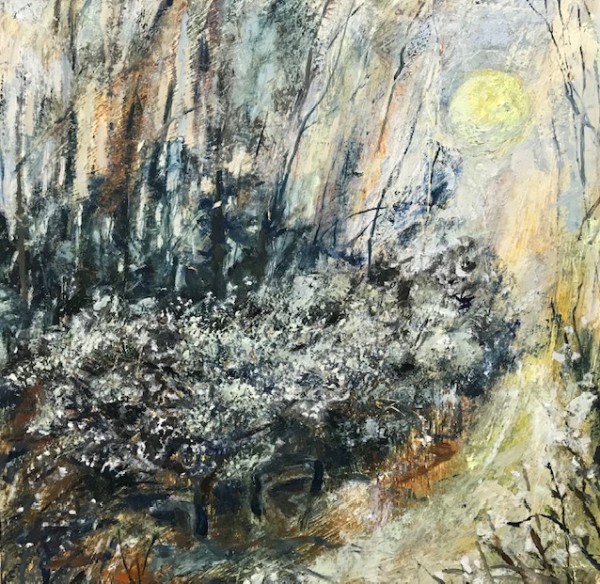 Blackthorn Sun - Kate Hajducka