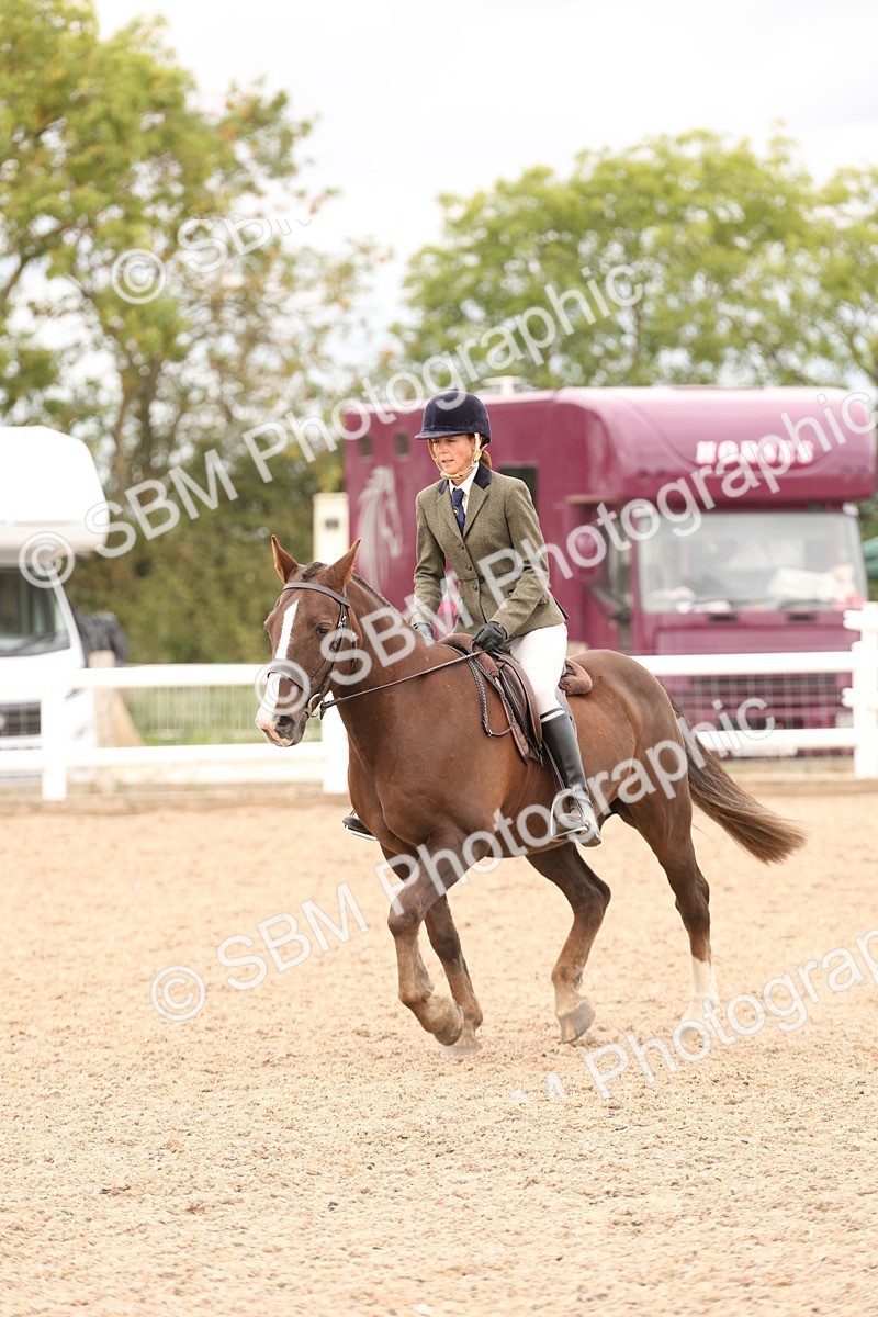 SBM_19555 - Class 215 - Ridden Show cob