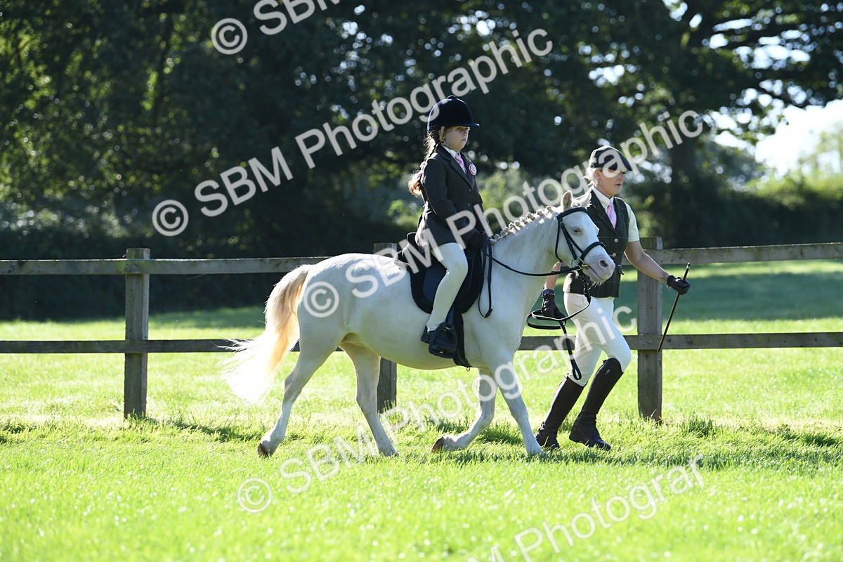 SBM_36782 - S18 - Novice & Newcomers Lead Rein Pony