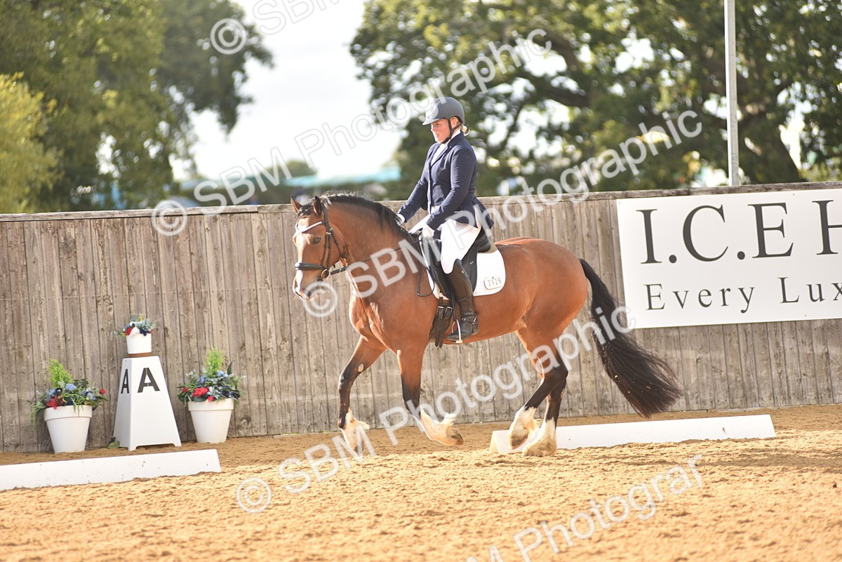 SBM_29660 - D16 -Small Tour Championship Novice 2
