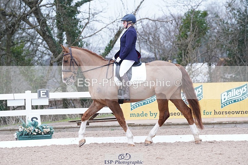 250214-102144-00116 - 224-Jill.McFarland-Adoon.Punchbowl