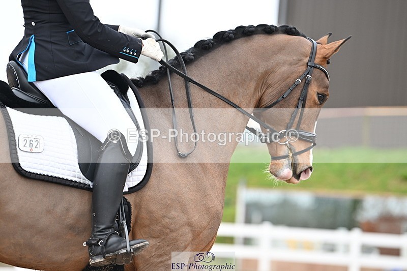 240218A-134110-07678 - 262-Amy.Hose-Enrique