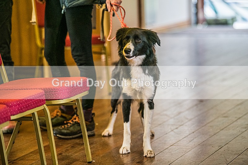 Stybarrow Dodd-2 - Kong Running Stybarrow Dodd Fell Race Saturday 29th November 2025