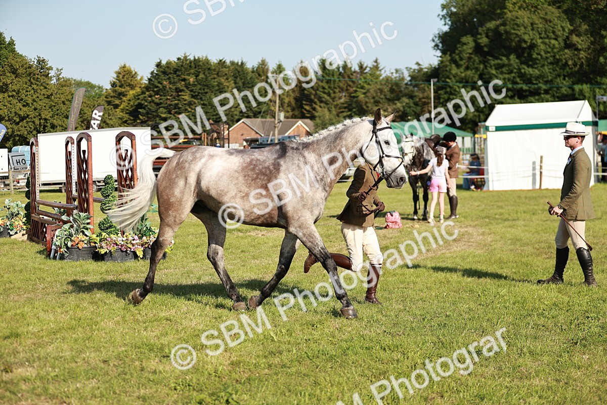 SBM_20039 - Class 115-116 - LIHS BSHA Rising Star Working Hunter & Show Horse
