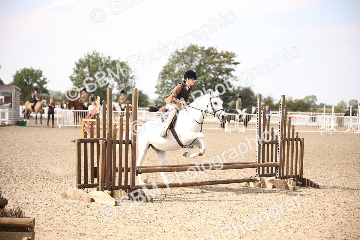 SBM_14260 - Class 407b - Working Veteran 60cm (20+)