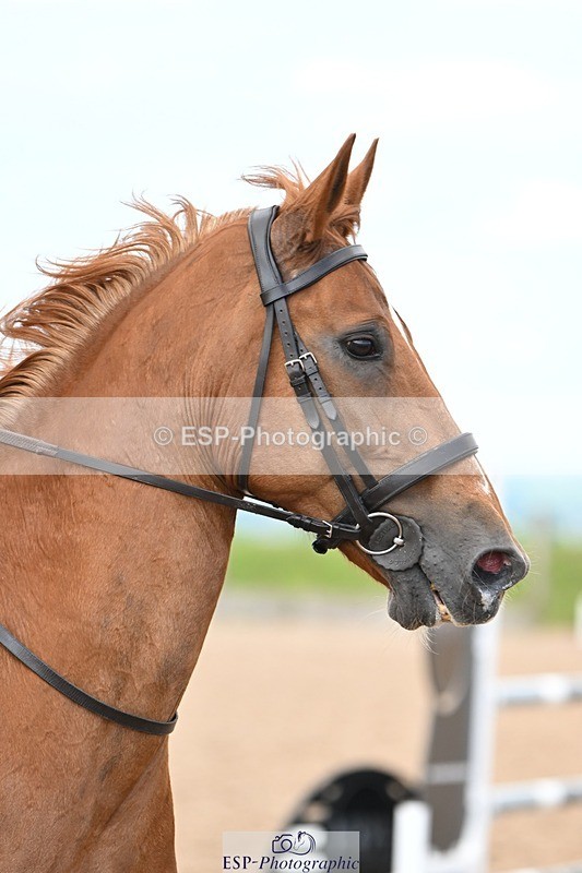 250611-102122-00095 - Cls 1 Brit Novice & 90cm Open