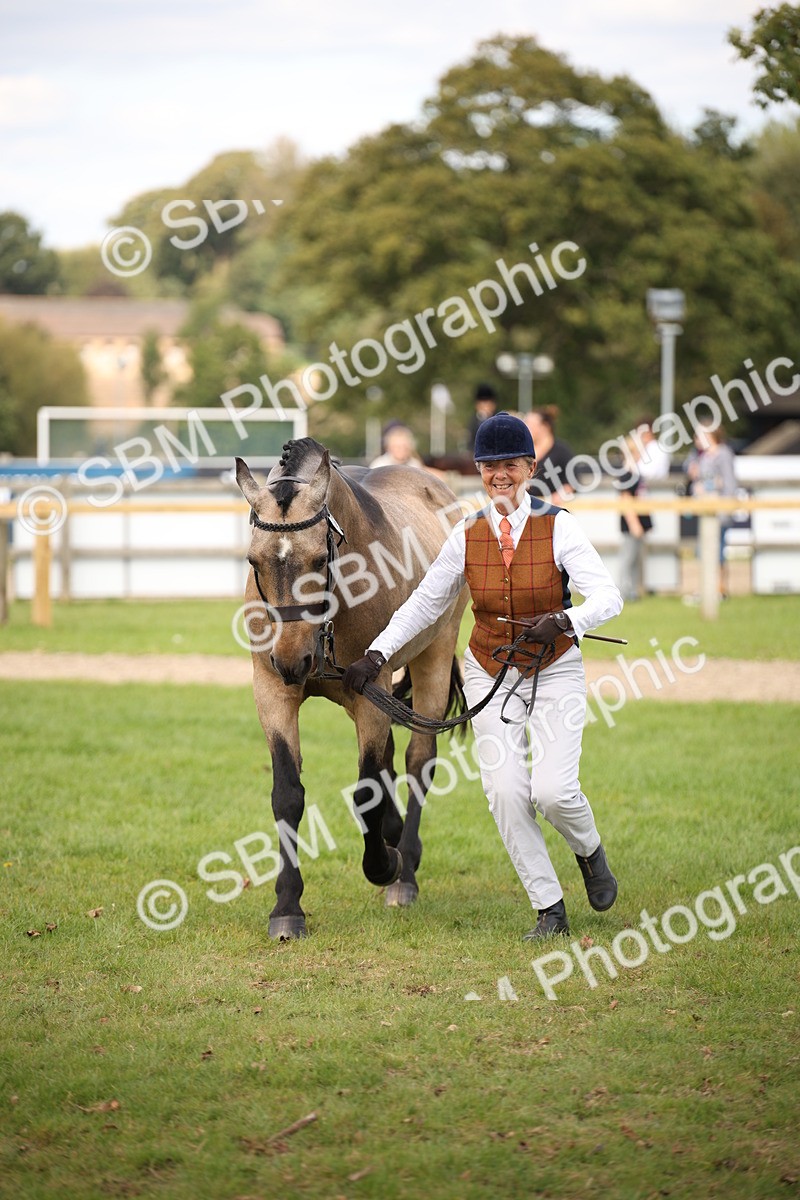 SBM_46337 - S25 - Mature Veteran In Hand