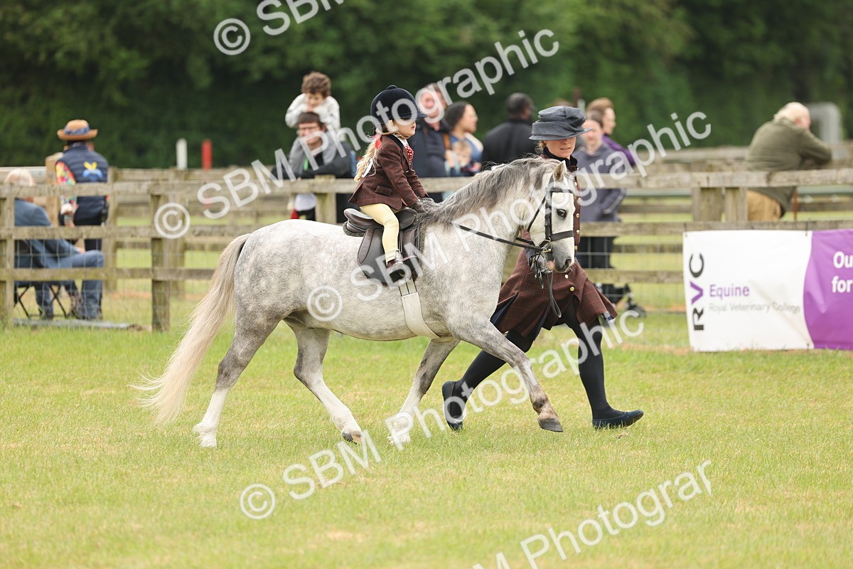 SBM_06668 - Class 74-75 - M&M Lead Rein and First Ridden Pony