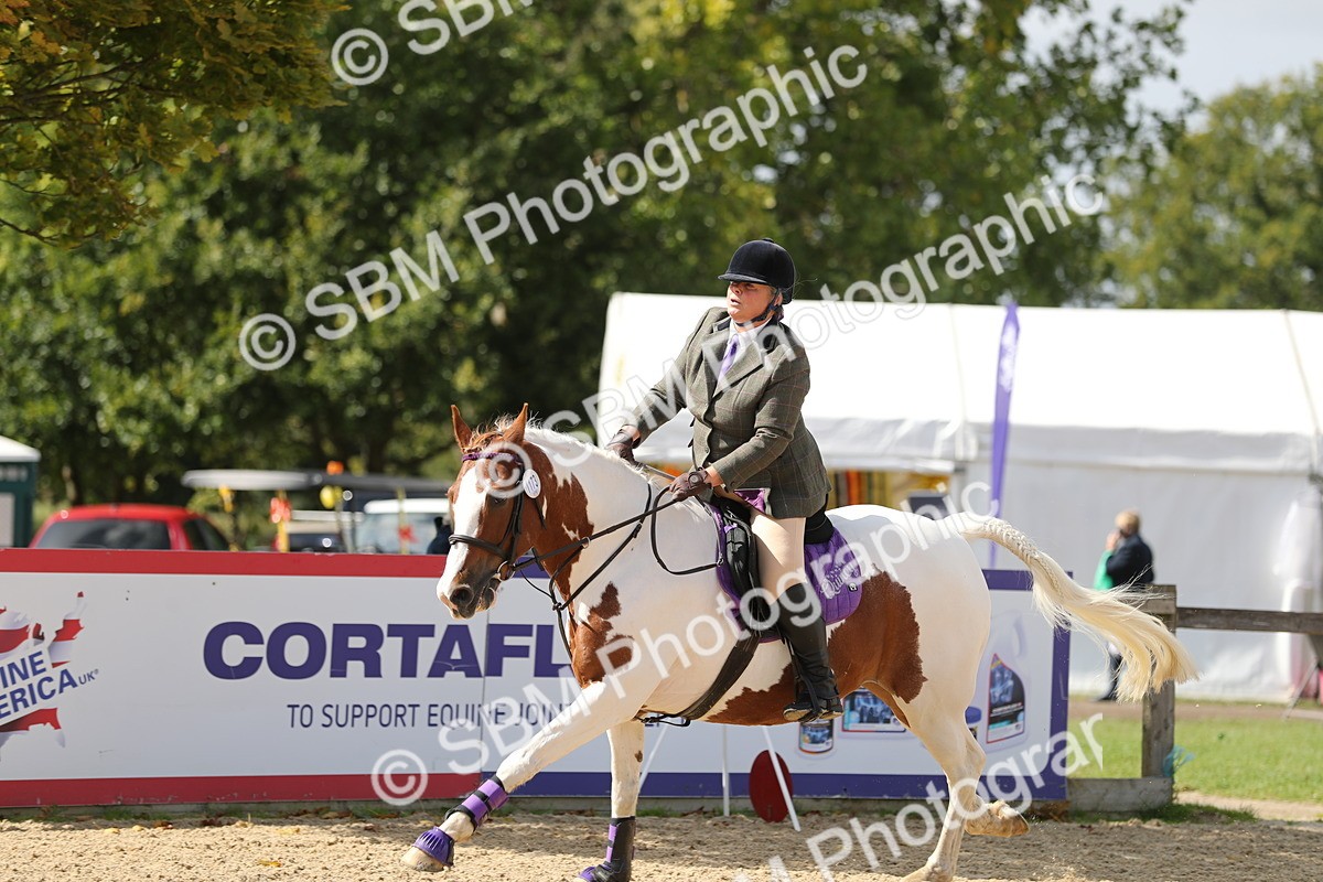 SBM_05766 - J35 - Veteran Rider 60cm