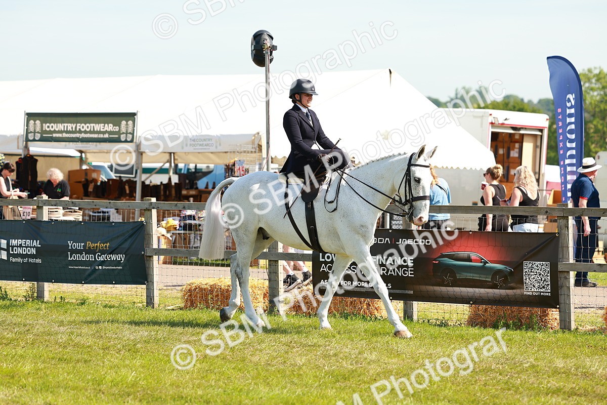SBM_13094 - Class 70-71 - Side Saddle