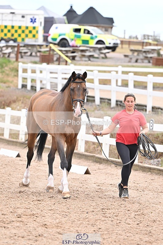 250716-140259-00879 - Trot Up 1.30 to 2.30