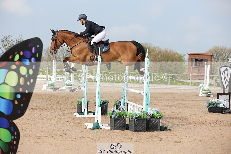 250424-102412-02992 - Cls 33 Young Horse 7yr old