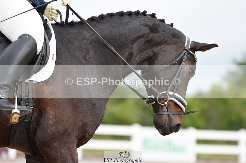 230630A-102550-00753 - Cls 4 Novice 23 Start to 11.30 break