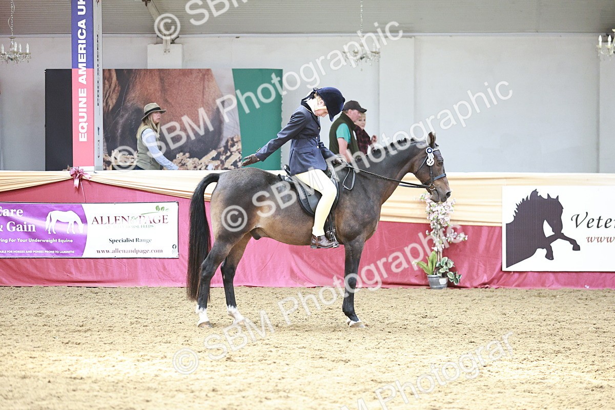 SBM_08299 - Class 11R - Regional Ridden Veteran