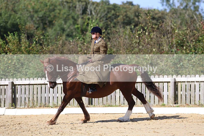 3E7A2787 - Class 4: Prelim 6 Section A Championship