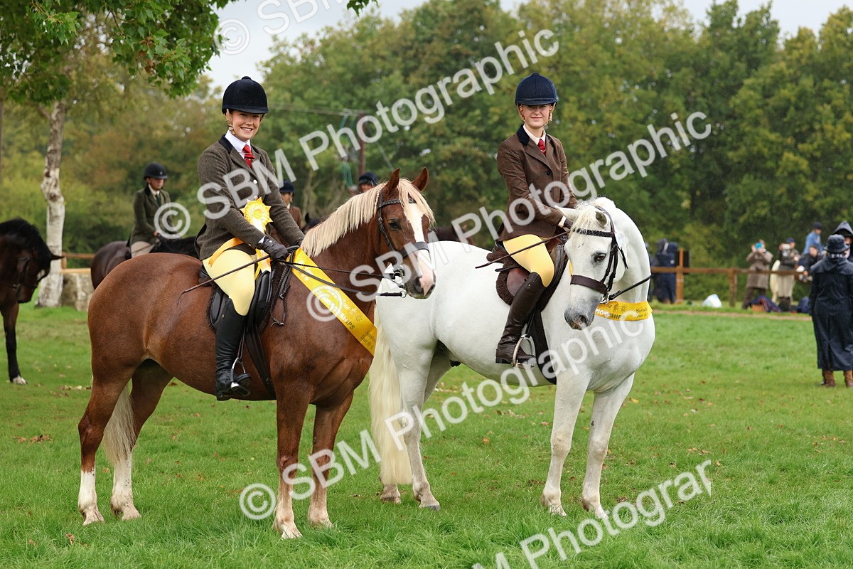SBM_69740 - S62 - Mountain & Moorland Ridden Large Breeds